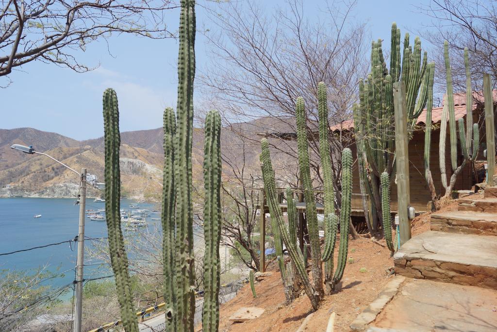 Hotel Cactus Taganga Esterno foto
